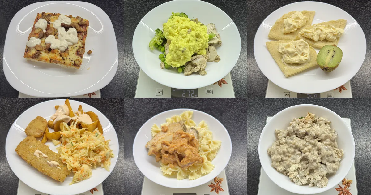 Sześć dań z cateringu Kuchnia Vikinga zważonych na talerzu podczas testu dietetyka: pizza, risotto, naleśnik, ryba w panierce, farfalle, kaszotto